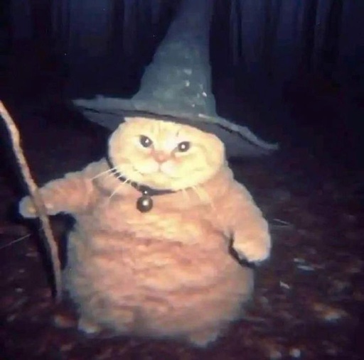AtaponDew - Cat Wizard